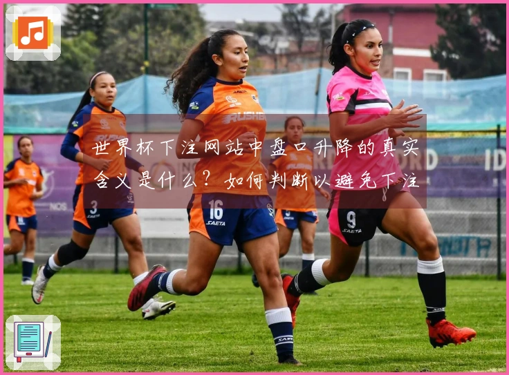 世界杯下注网站中盘口升降的真实含义是什么？如何判断以避免下注误区？