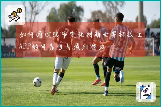 如何通过赔率变化判断世界杯投注APP的可靠性与盈利潜力