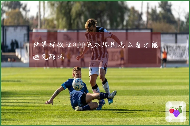 世界杯投注app返水规则怎么看才能避免踩坑